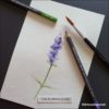 Museum Aquarelle Pencil Sets - Caran d'Ache - Image 19