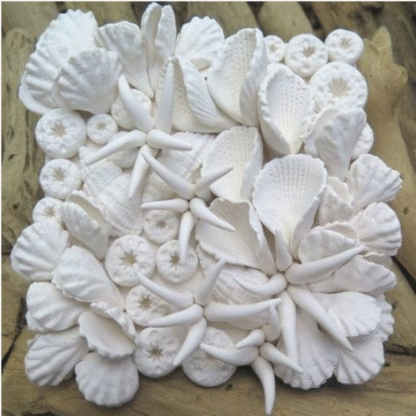 Dala Air dry clay white shells