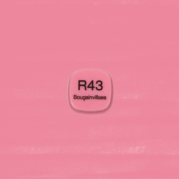 4511338057582