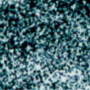 636638006567