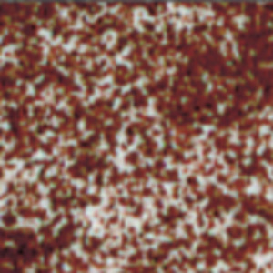 636638006659