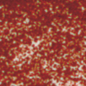 636638004051