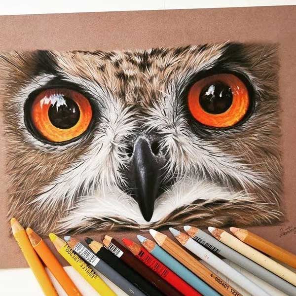 Stabilo-CarbOthello-Pastel-Pencils-Sketch-of-big-owl-face-with-orange-eyes