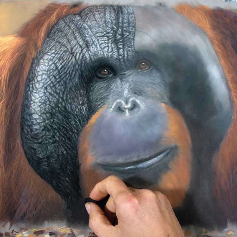 PanPastel Single Pan Ultra Soft Artists’ Painting Pastels