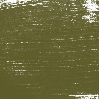 50808113