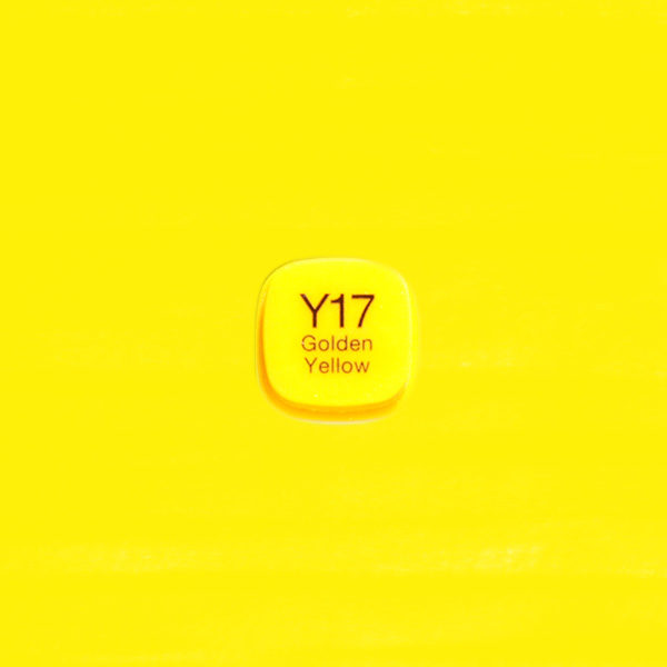 4511338058237