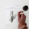 Hahnemuhle-Sumi-E-Watercolour-Paper-A5-with-ink-painting