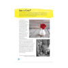 Walter-Foster-Artist-Toolbox-Book-Color-Inner-Pages-02
