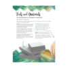 Walter-Foster-The-Art-of-Paint-Pouring-Book-inner-pages-02