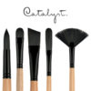 Princeton-Catalyst-Polytip-Bristle-Long-Handle-Brushes