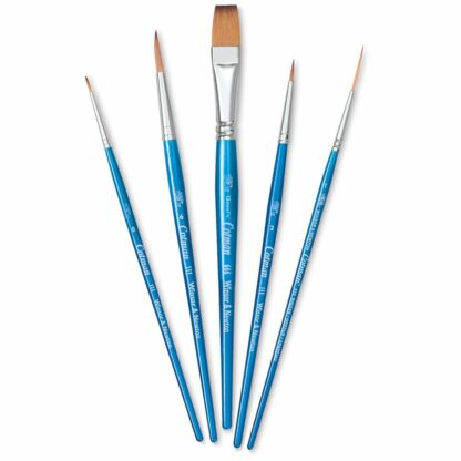 Cotman Watercolour Brush Set of 5 – Winsor & Newton