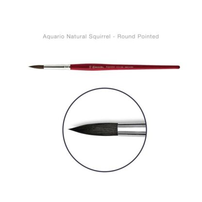 AQUARIO Natural Squirrel Brush Round Pointed - Escoda