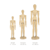 Assorted wooden female manikins Artsavinsclub