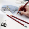 Pastel Pencil Drawing - Derwent
