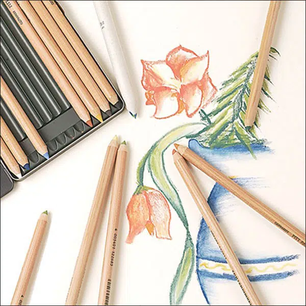 Faber-Castell Pitt Pastel Artists Single Pencils - Artsavingsclub