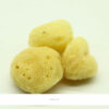 Fina-Sponge2-02
