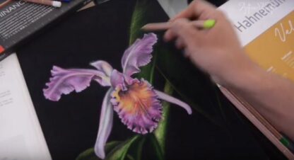 Hahnemuhle Velour-Antonio-Valiente-Orchidea