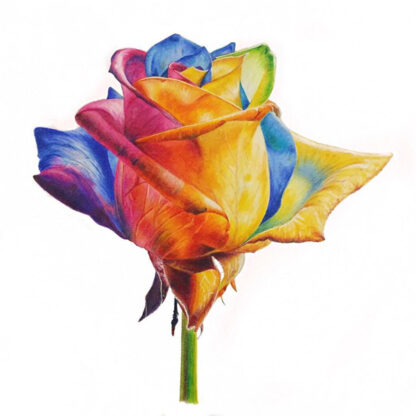 Premier Colorless Blender Pencil Used In Drawing of Flower – Prismacolor