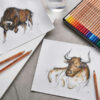 Rembrandt Aquarell Artist Coloured Pencils Lifestyle – Lyra