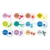 Clean Colour Dot Pens Colours - Zig