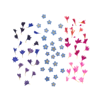 JACQUES HERBIN DRIED FLOWER PETALS cover