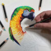 Derwent-Chromaflow-Pencil-Set-Artsavingsclub-Sale-3