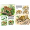 Leonardo-Collection-Animals-12-Book-Inner-Page-001