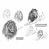 Leonardo-Collection-Animals-12-Book-Inner-Page-003