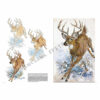 Leonardo-Collection-Animals-13-Book-Inner-Page-002