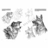 Leonardo-Collection-Animals-13-Book-Inner-Page-004