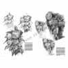 Leonardo-Collection-Flowers-22-Book-Inner-Page-001