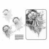Leonardo-Collection-Flowers-23-Book-Inner-Page-003