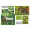 Leonardo-Collection-Horses-06-Book-Inner-Page-001