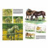 Leonardo-Collection-Horses-06-Book-Inner-Page-003