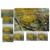 Leonardo-Collection-The-Seasons-47-Book-Inner-Page-003