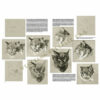 Leonardo-Collection-The-animals-of-Mathurin-Meheut-Book-Inner-Page-001