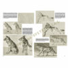 Leonardo-Collection-The-animals-of-Mathurin-Meheut-Book-Inner-Page-002