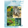 Leonardo-Collection-Trees-and-Leaves-45-Book-Cover
