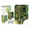 Leonardo-Collection-Trees-and-Leaves-45-Book-Inner-Page-001