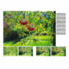 Leonardo-Collection-Trees-and-Leaves-45-Book-Inner-Page-004