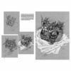 Leonardo-Collection-Still-life-25-Book-Cover