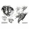 Leonardo-Collection-Still-life-24-Book-Inner-Page-003