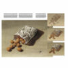 Leonardo-Collection-Still-life-41-Book-Inner-Page-001