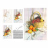 Leonardo-Collection-Still-life-41-Book-Inner-Page-004