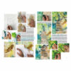 Leonardo-Collection-Tricks-of-the-trade-Book-Inner-Page-002