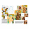 Leonardo-Collection-Tricks-of-the-trade-Book-Inner-Page-004