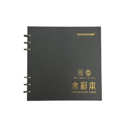 Potentate Ring bound watercolour book