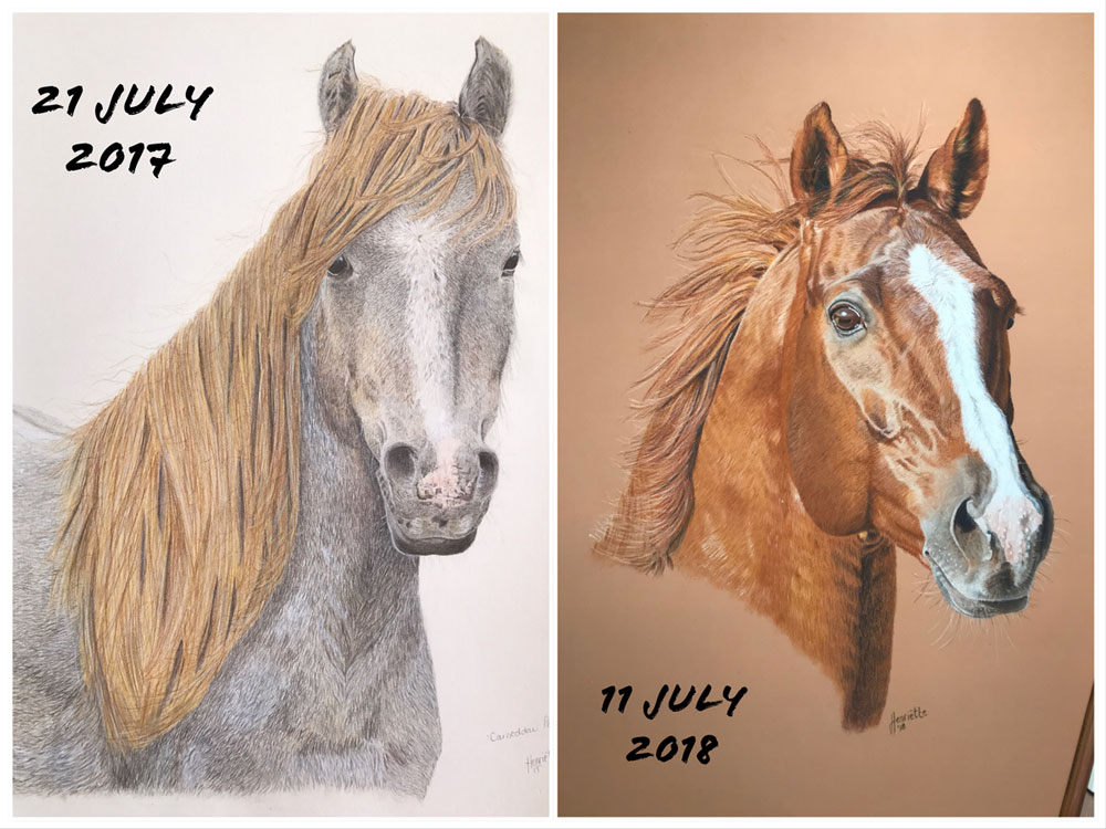 Henriette van Staden Horse-vs-Horse-Sketch Comparison