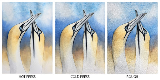 Choosing the Right Watercolor Paper: Hot Press vs Cold Press vs Rough Paper  –