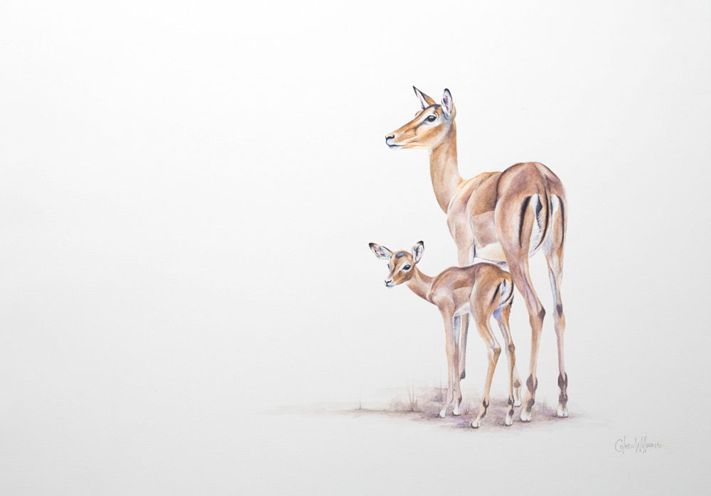 Watercolour Impala